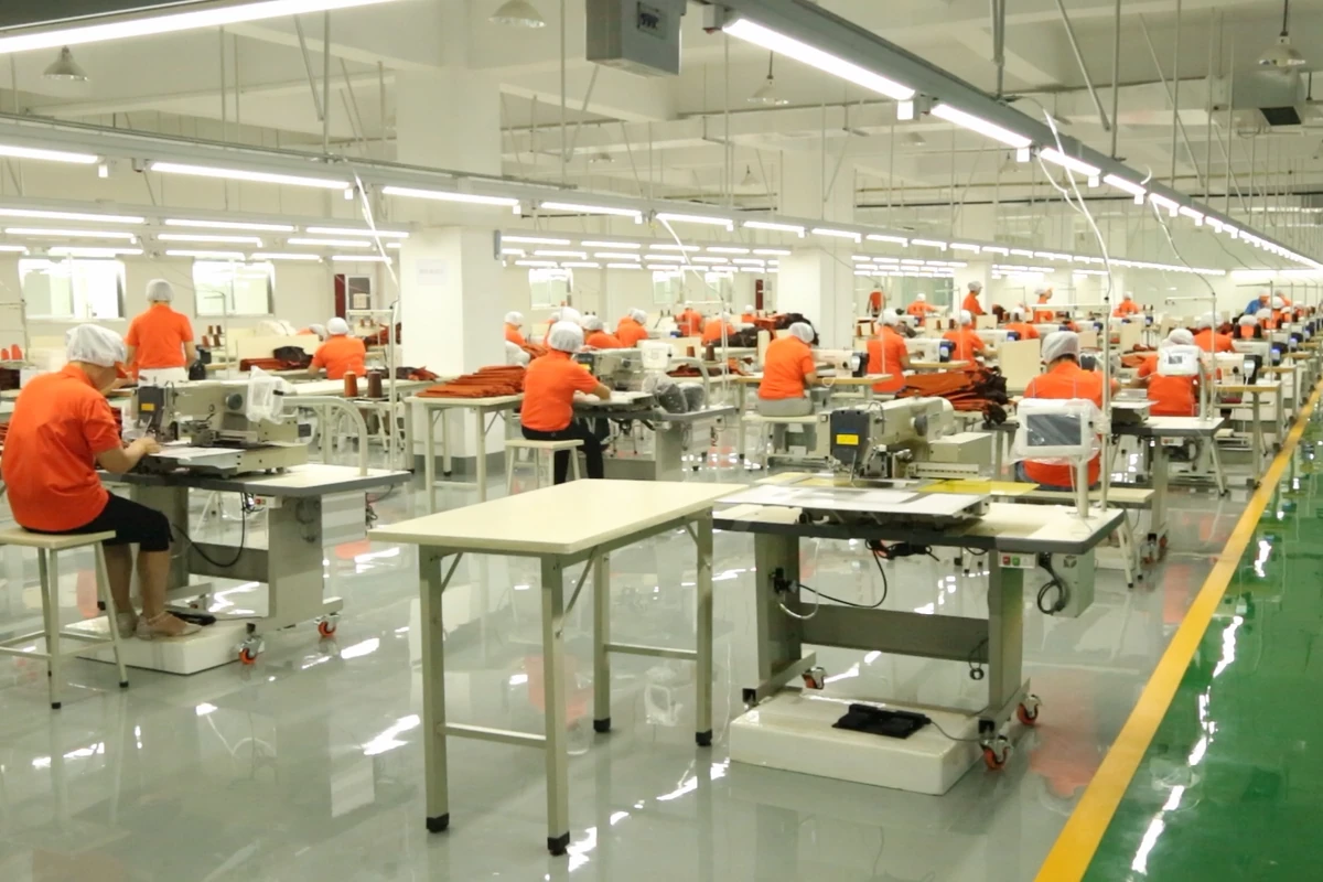 Rows of industrial sewing machines and operators beside a marked workshop aisle.